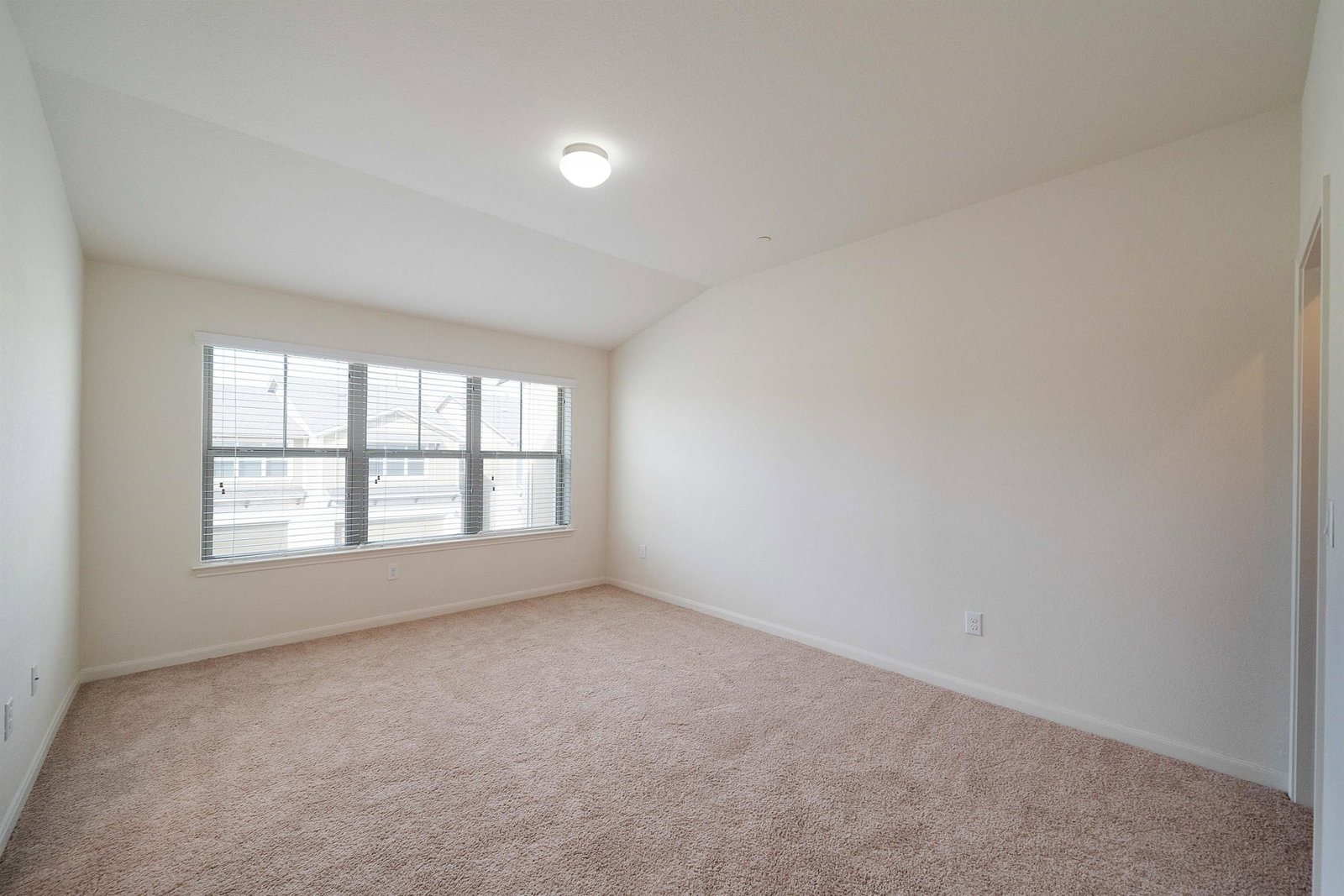 Gallery Image 20