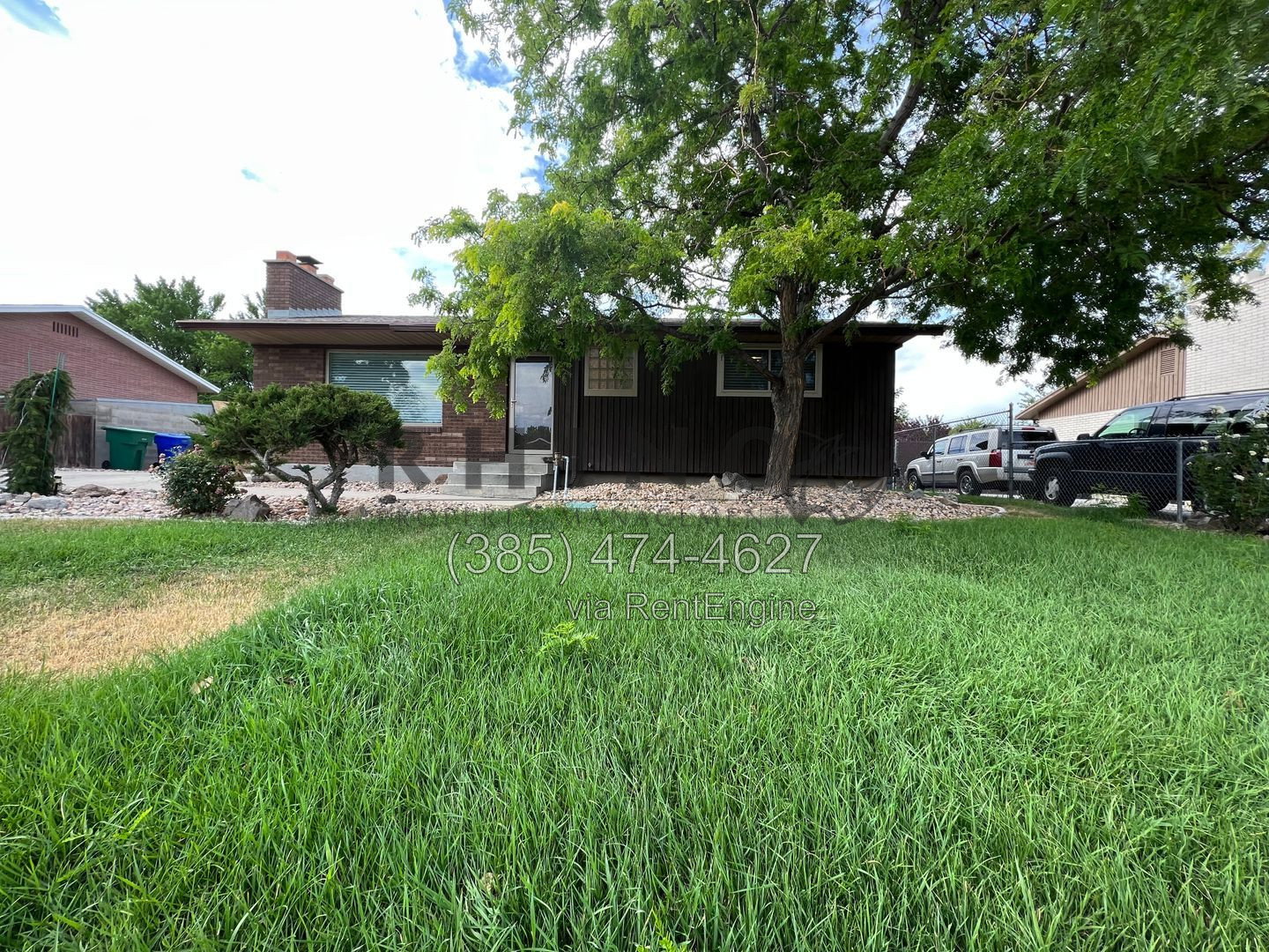Gallery Image 14