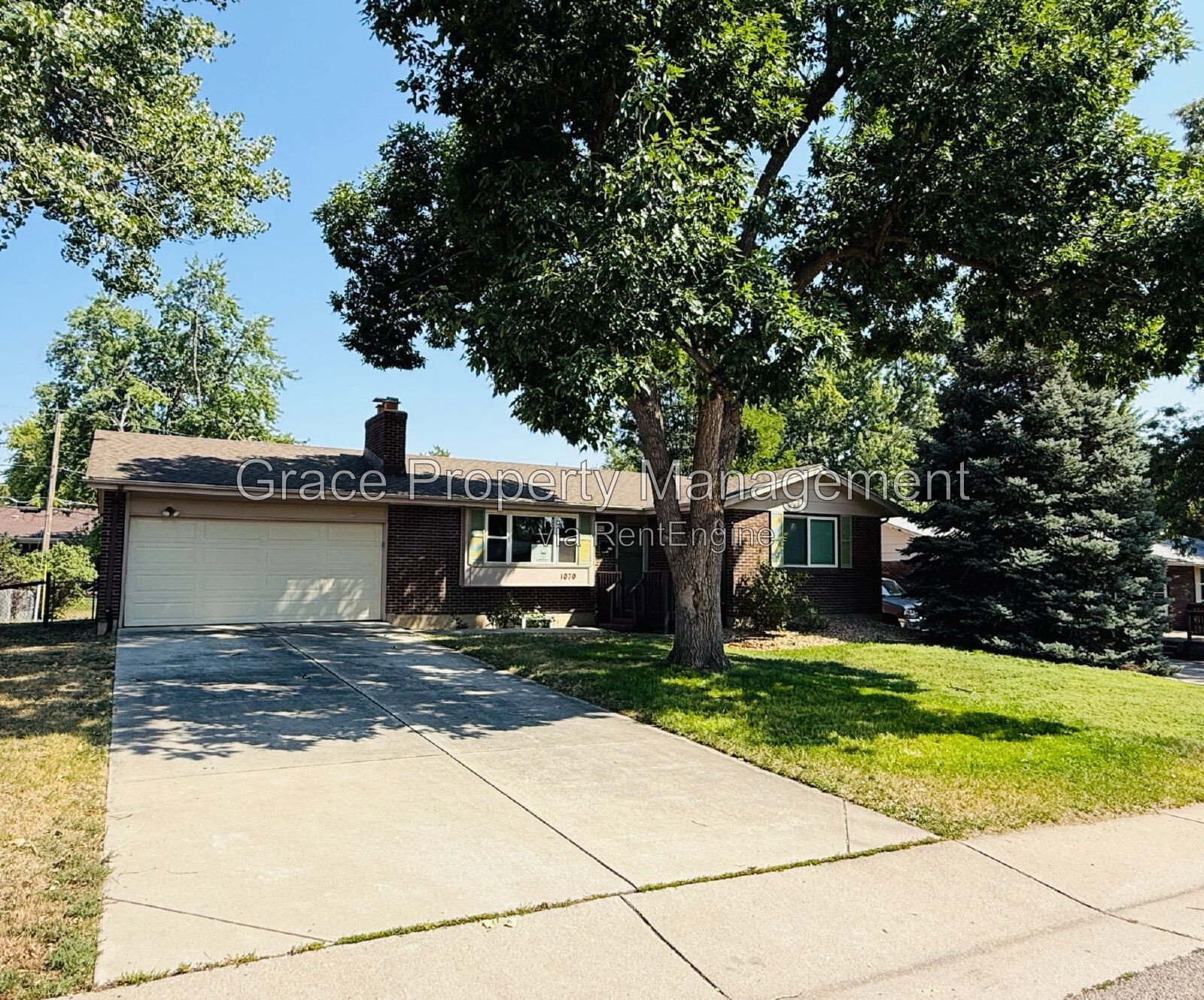 Gallery Image 20