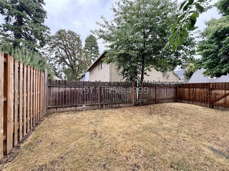 Gallery Image 30