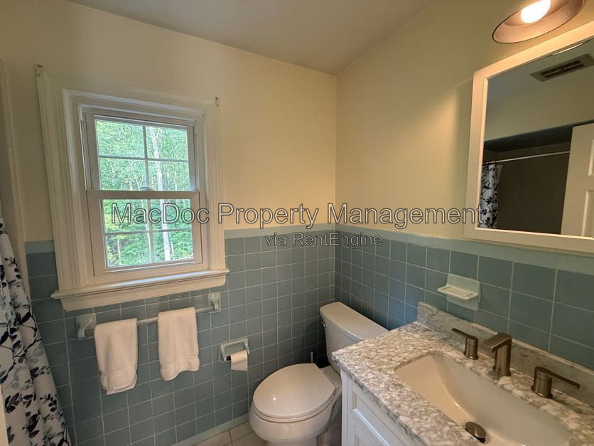 Gallery Image 41