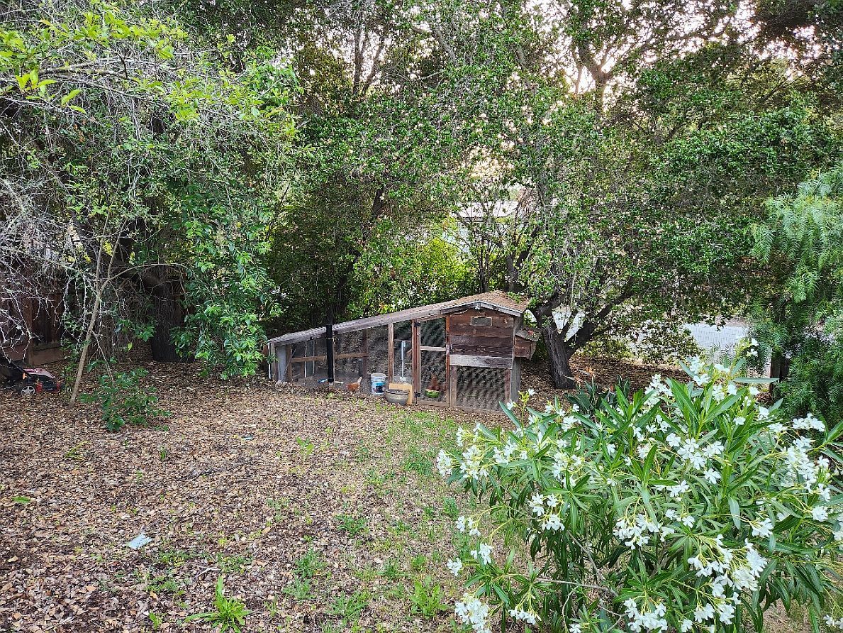 Gallery Image 48