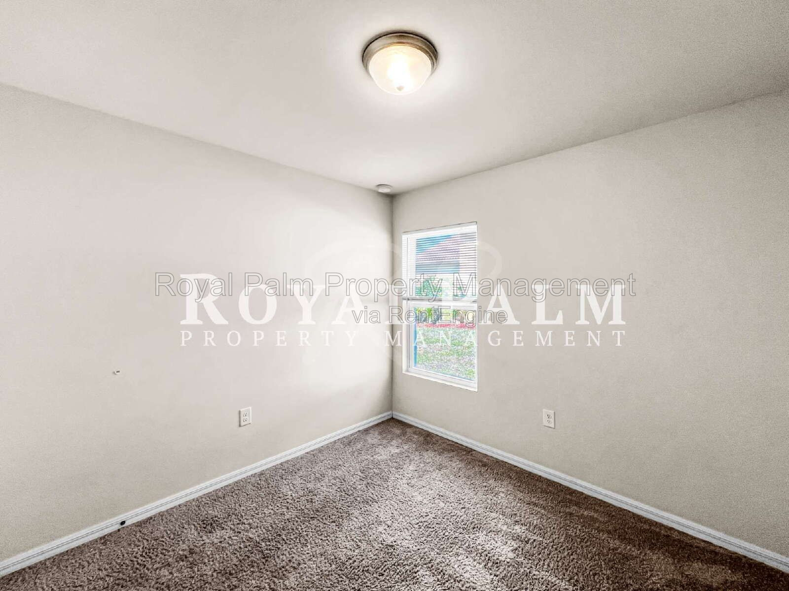 Gallery Image 20