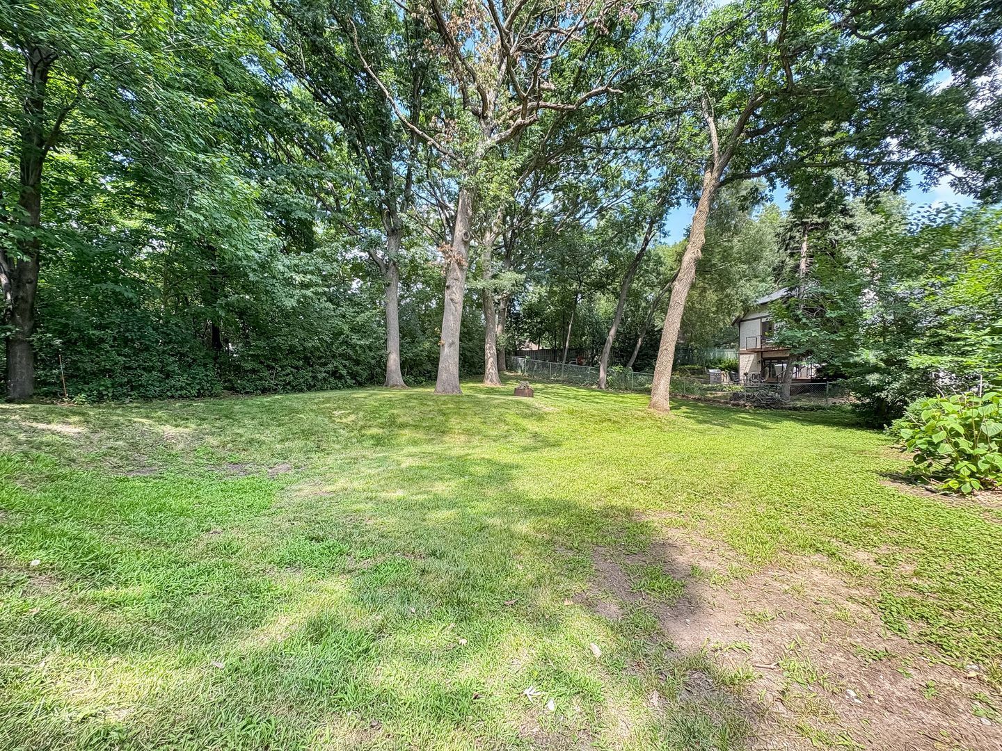 Gallery Image 41
