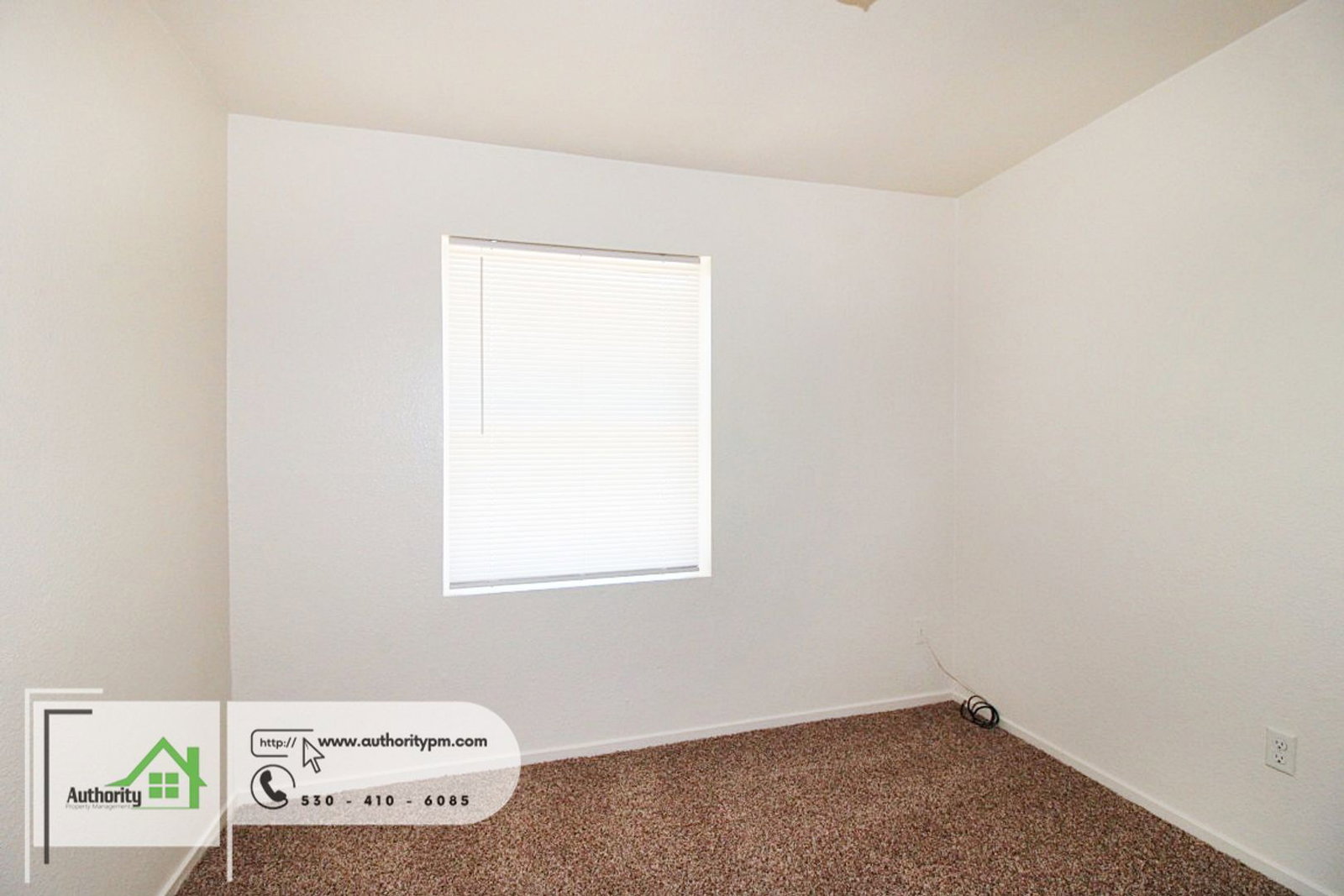 Gallery Image 16