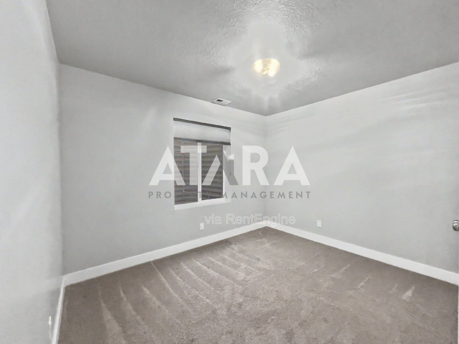 Gallery Image 54