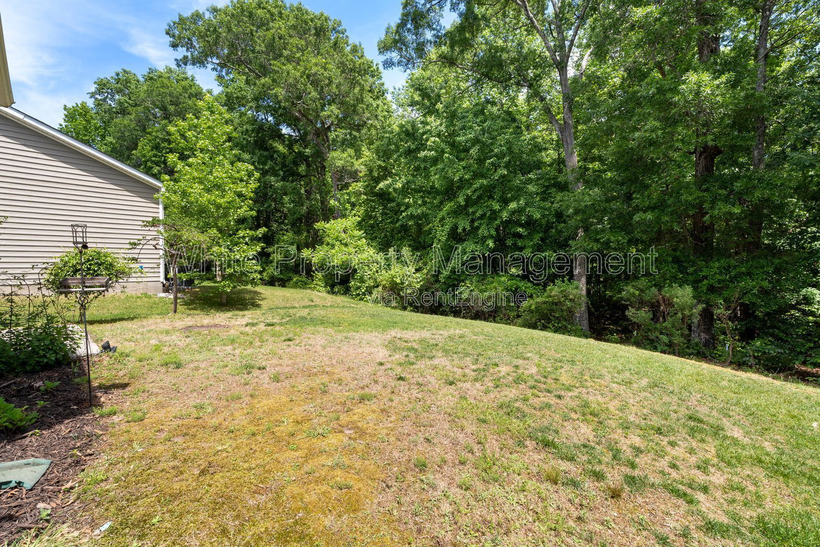 Gallery Image 33