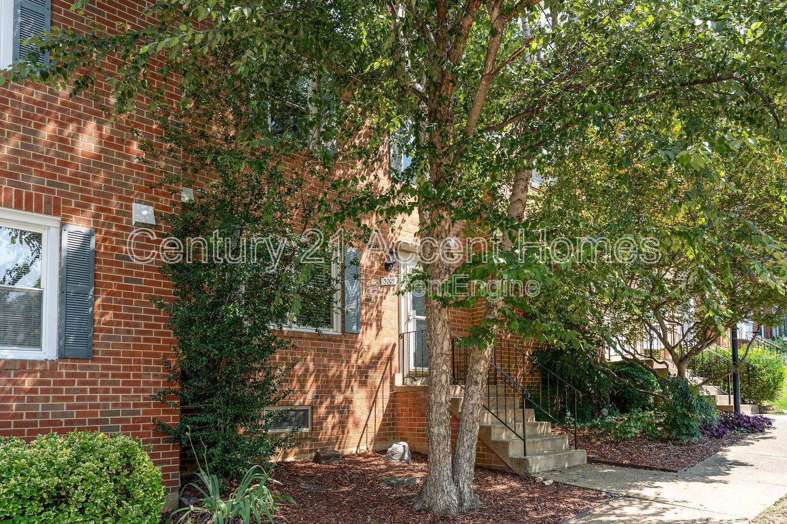 Gallery Image 62
