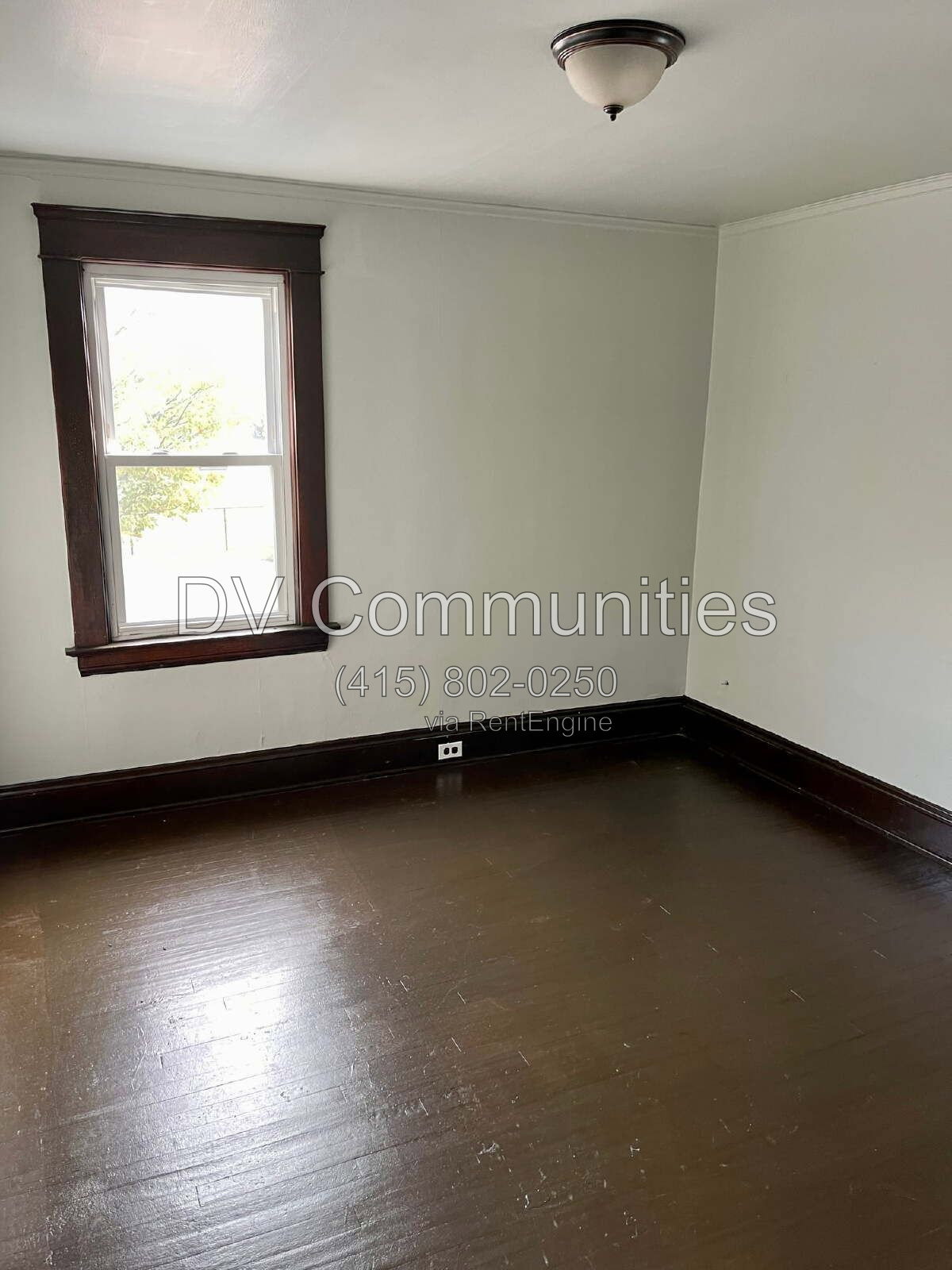 Gallery Image 50