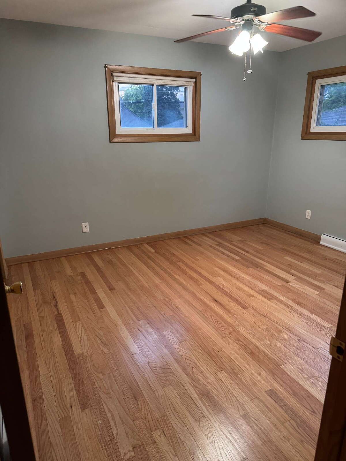 Gallery Image 8