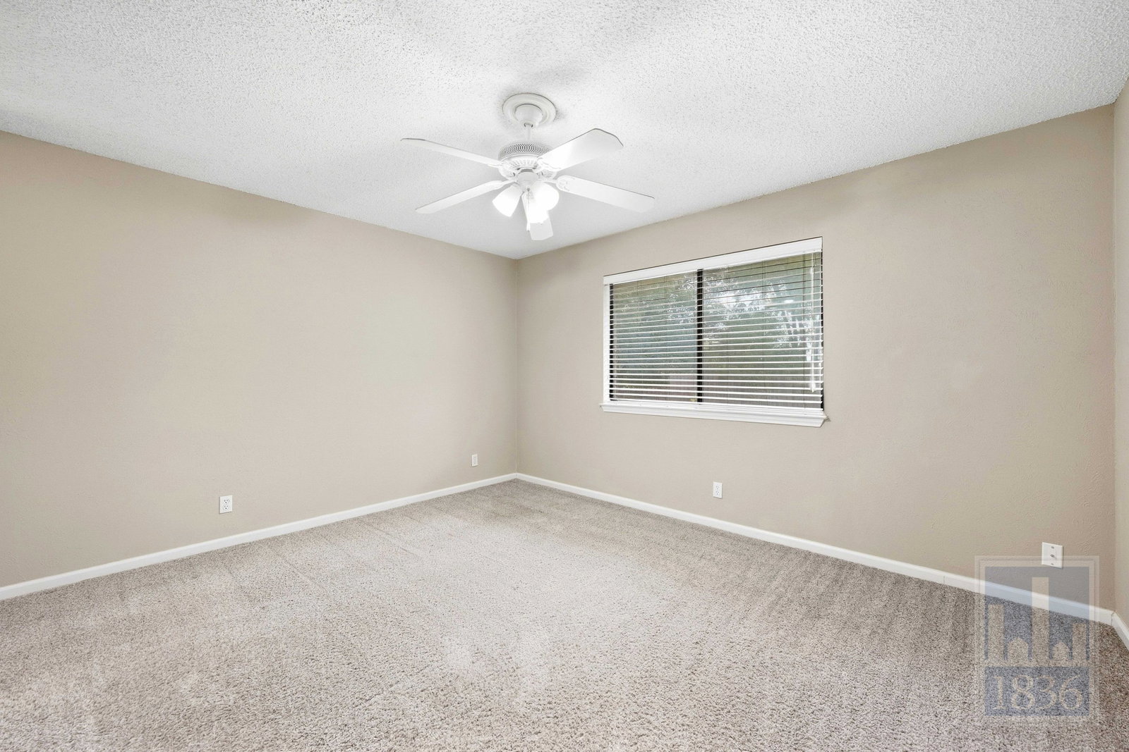Gallery Image 55
