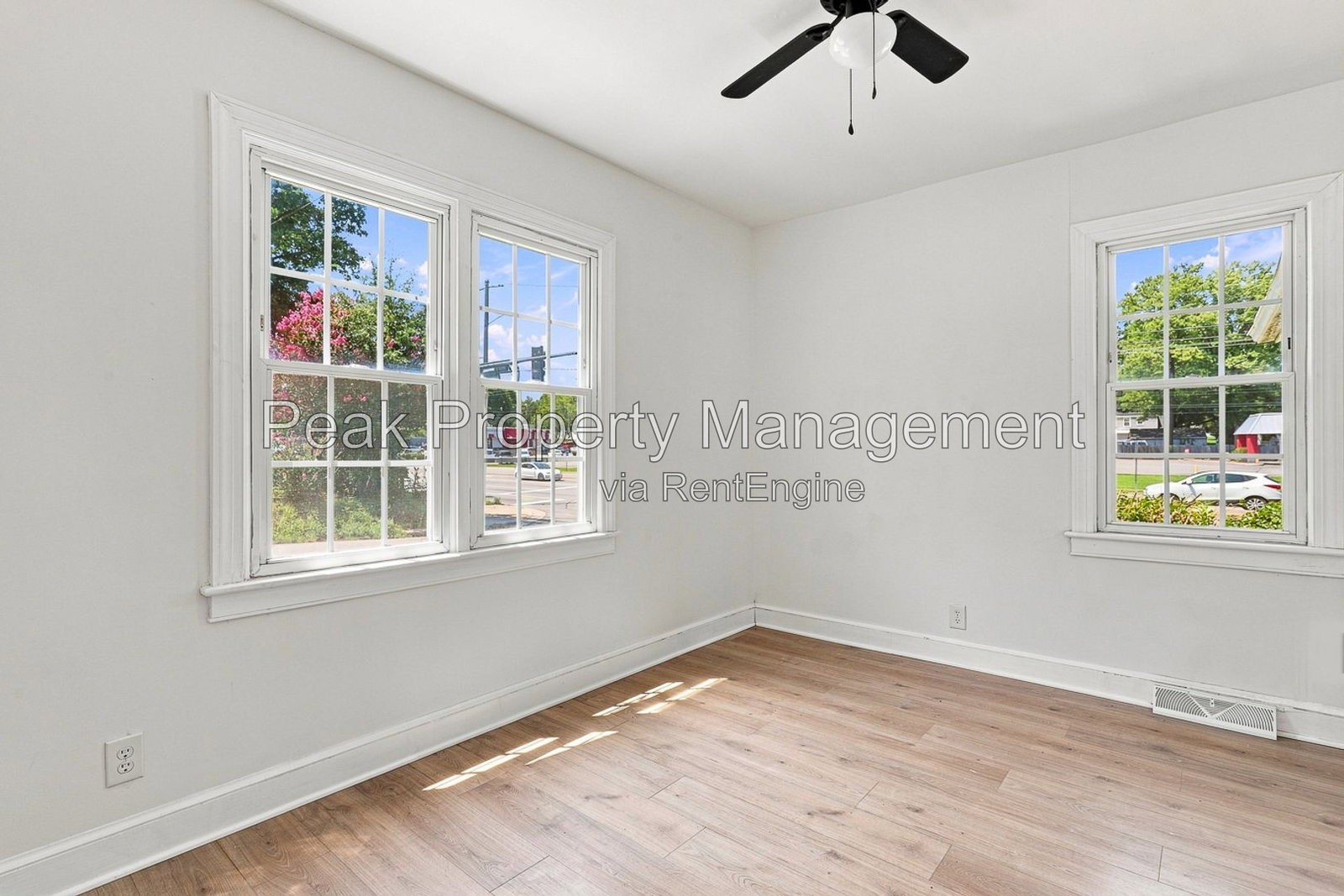 Gallery Image 11