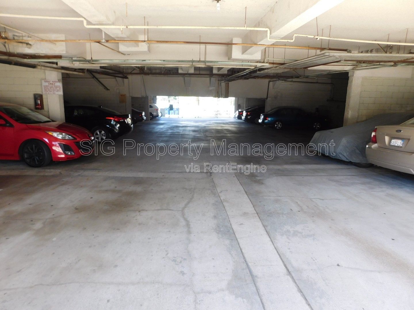 Gallery Image 9