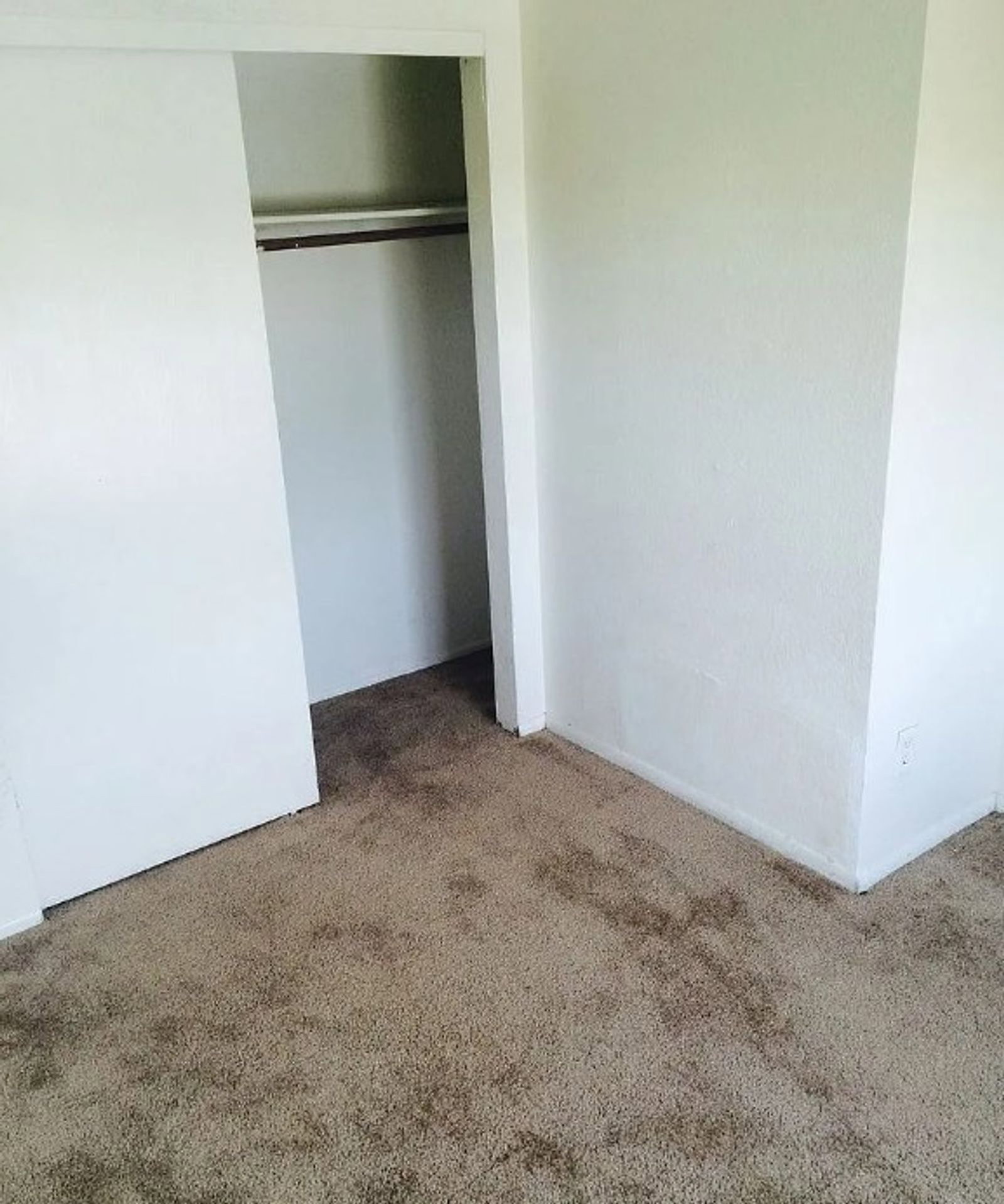 Gallery Image 20
