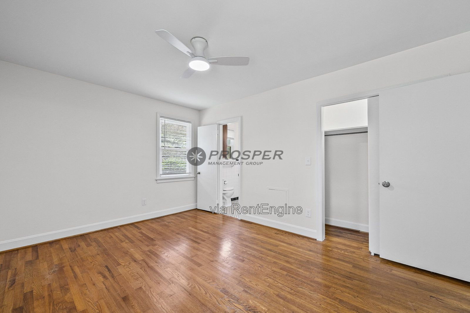 Gallery Image 19