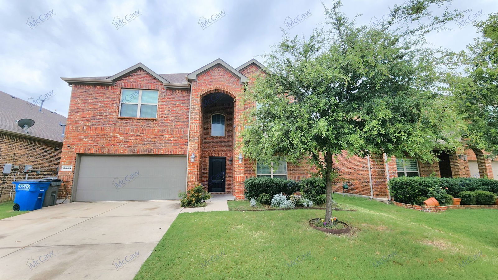 Gallery Image 0