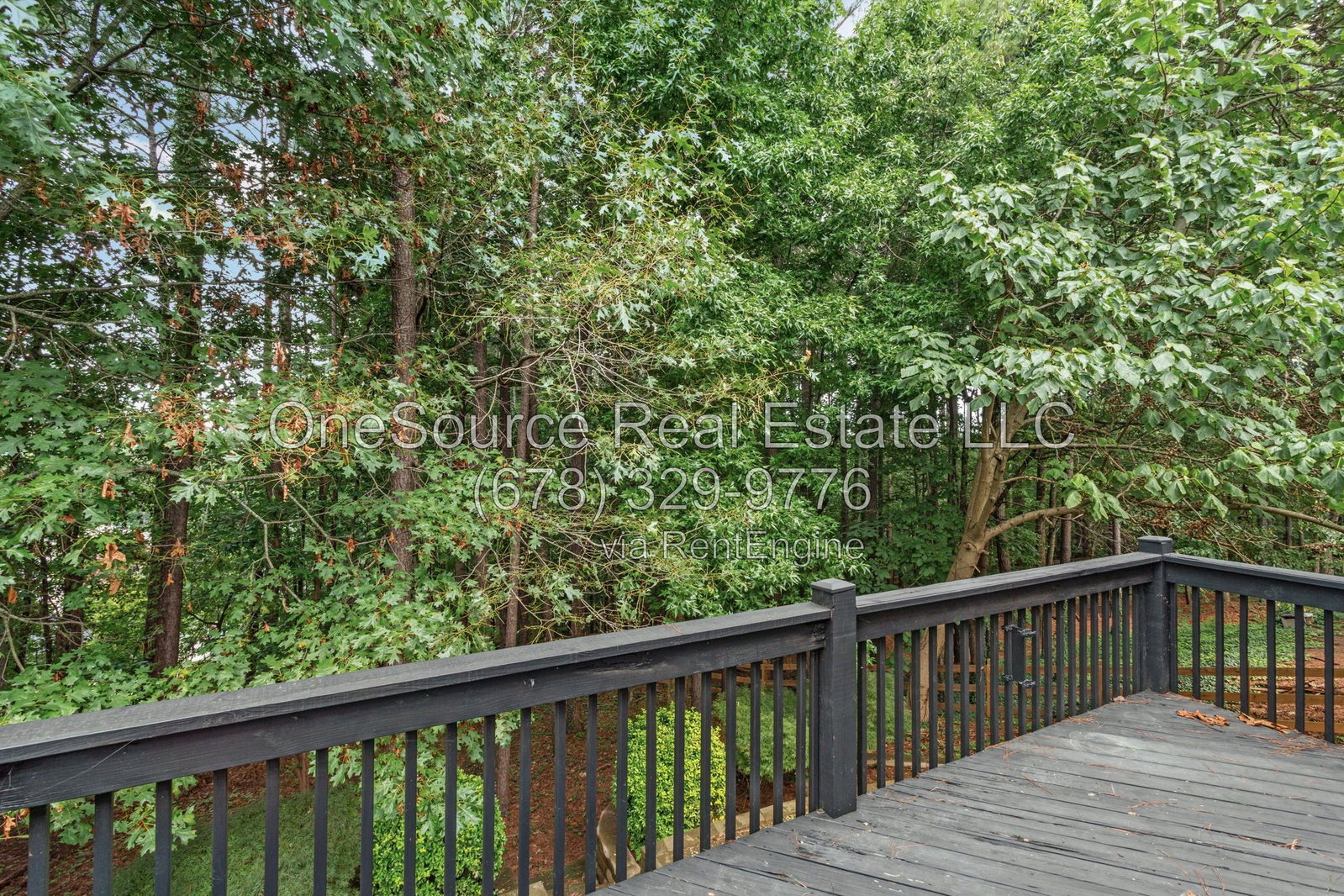 Gallery Image 43