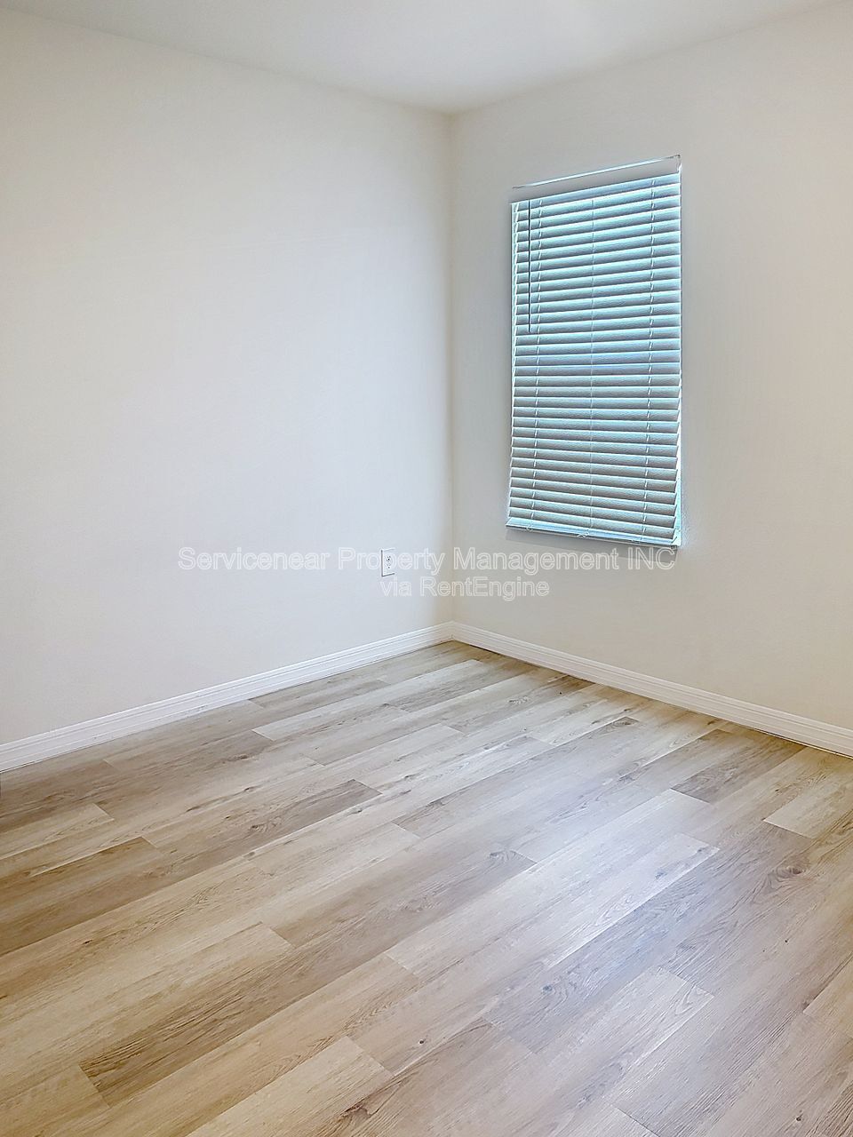 Gallery Image 11