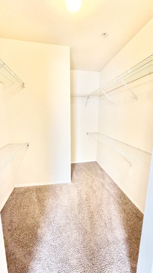 Gallery Image 19