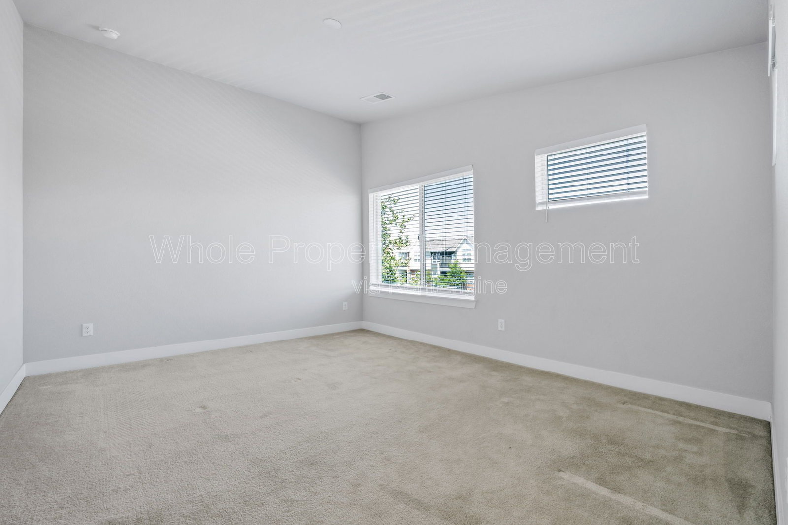 Gallery Image 22