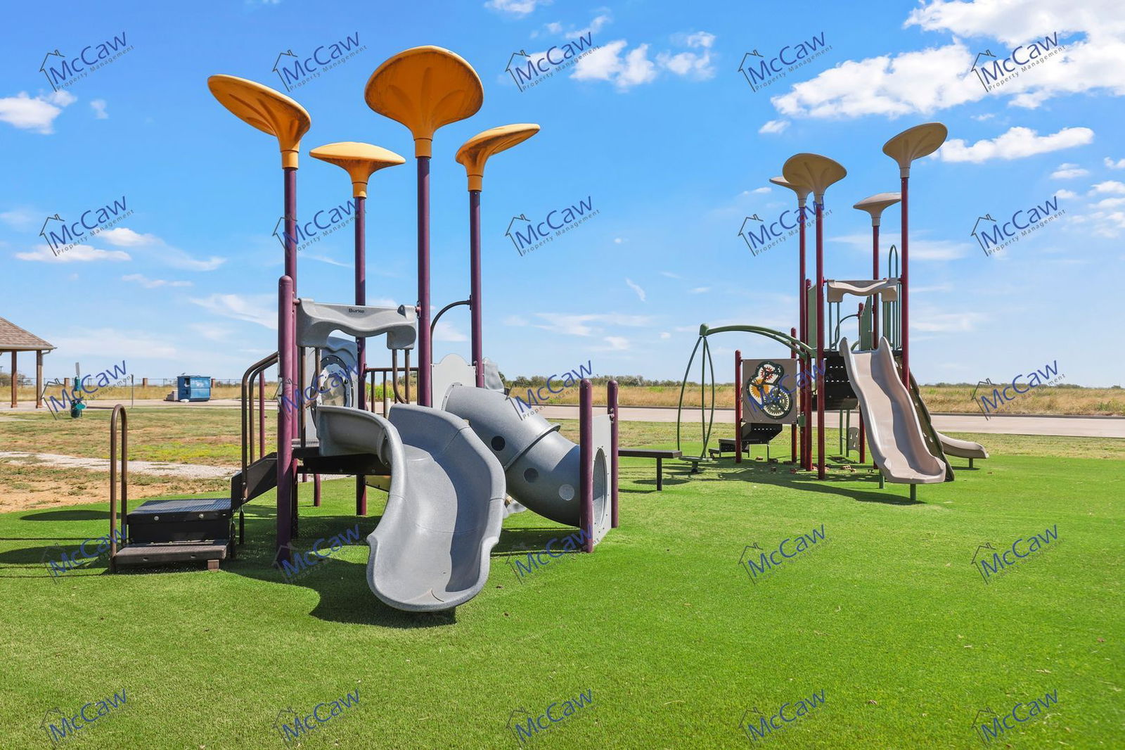 Gallery Image 21