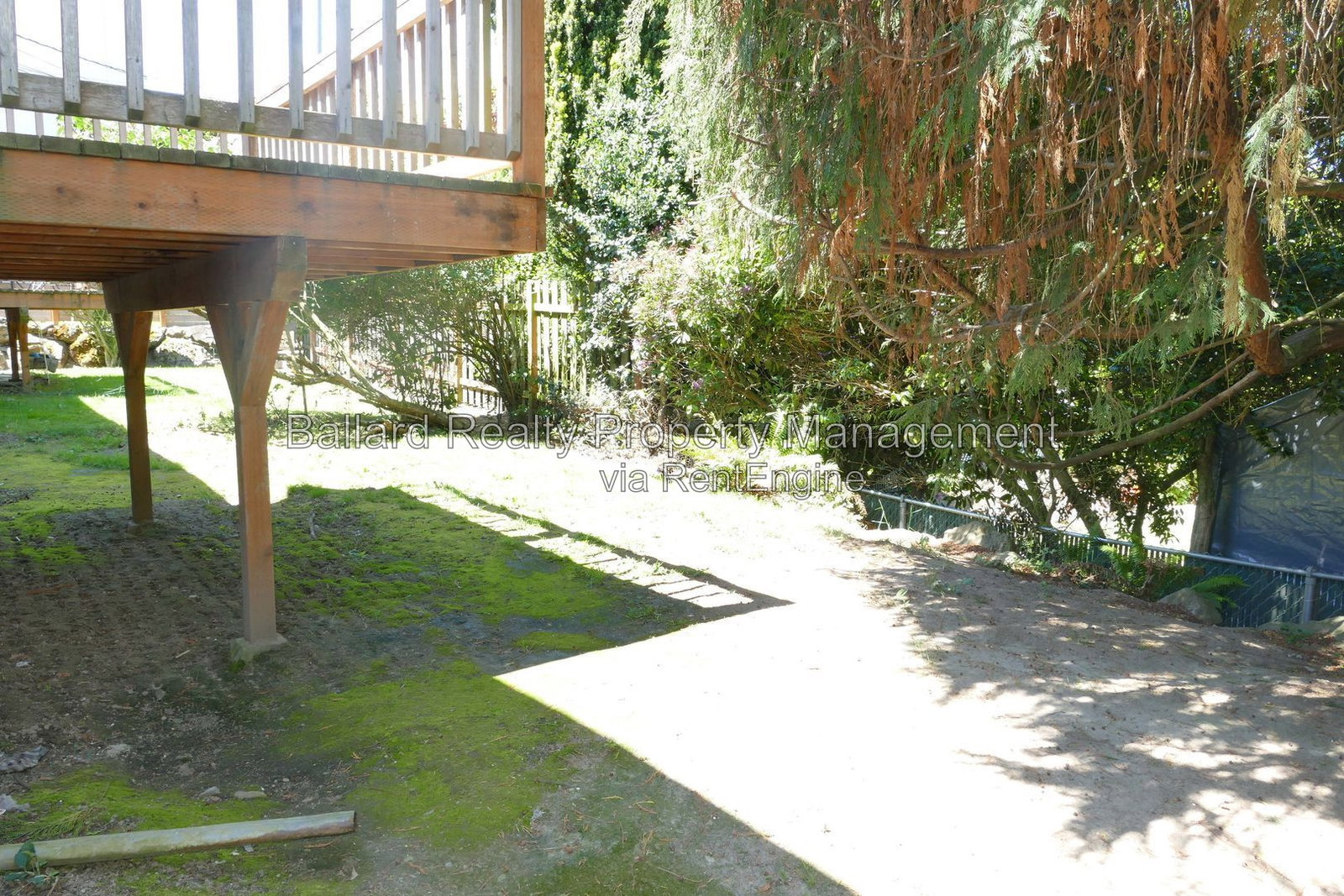 Gallery Image 19