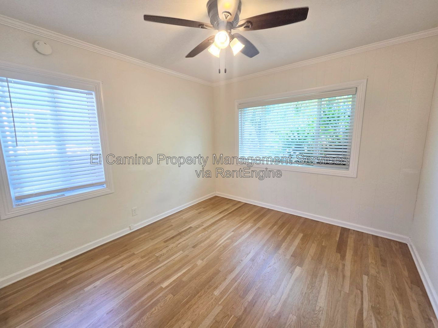 Gallery Image 16