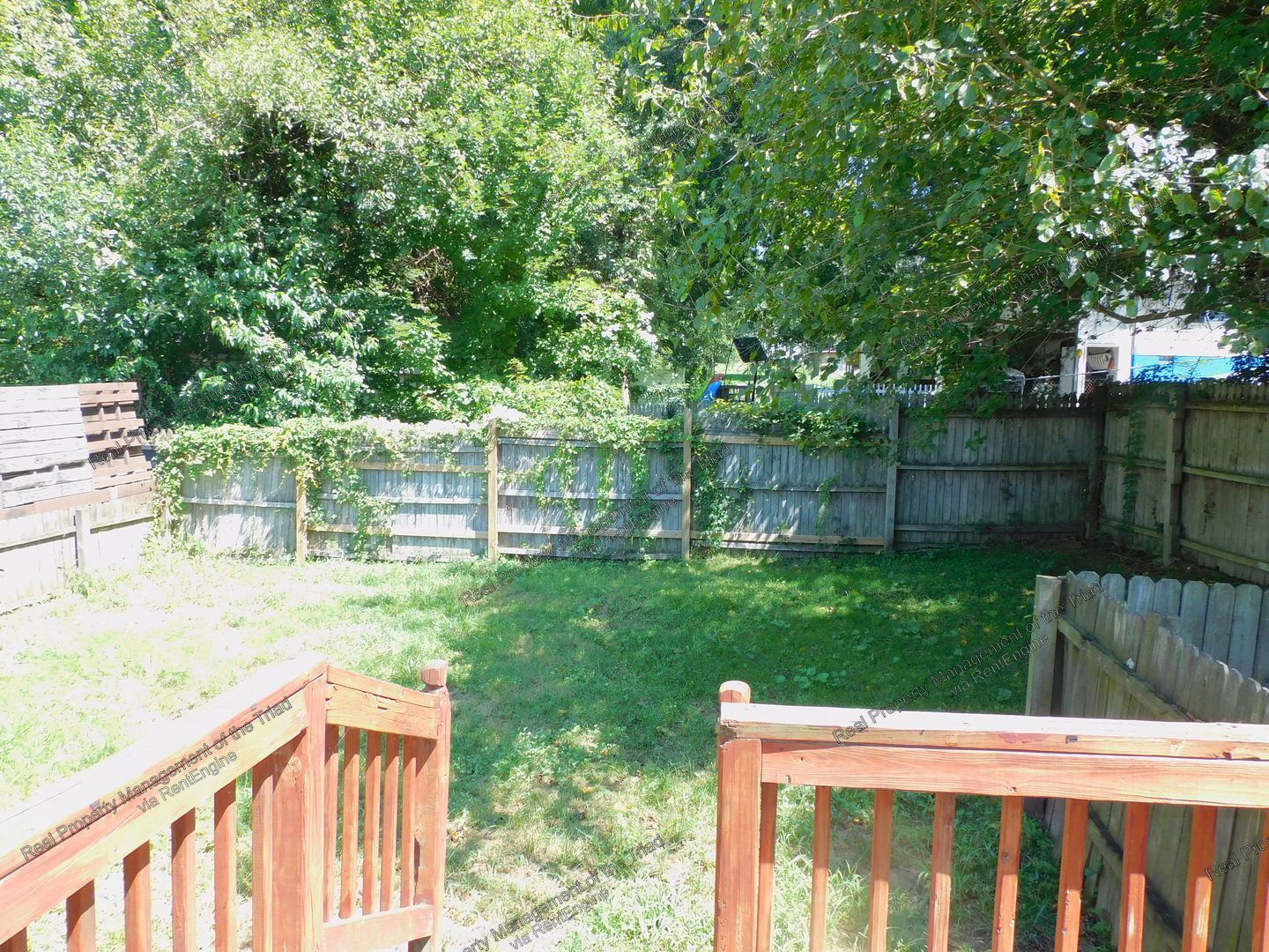 Gallery Image 19