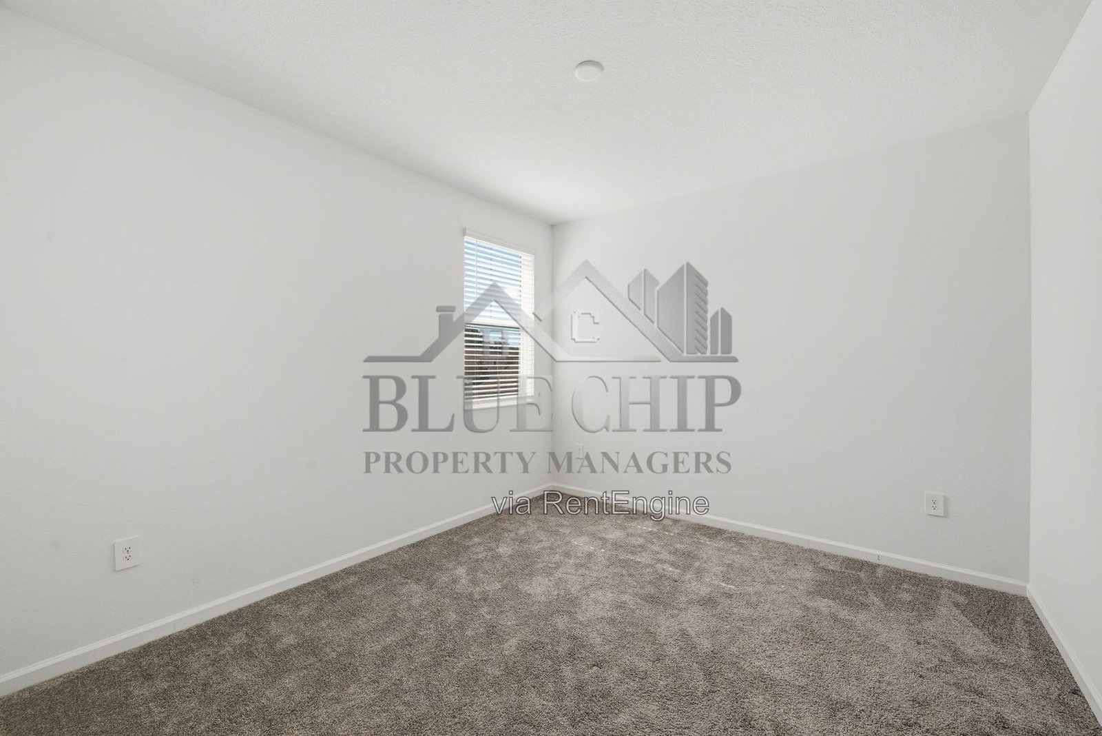 Gallery Image 35