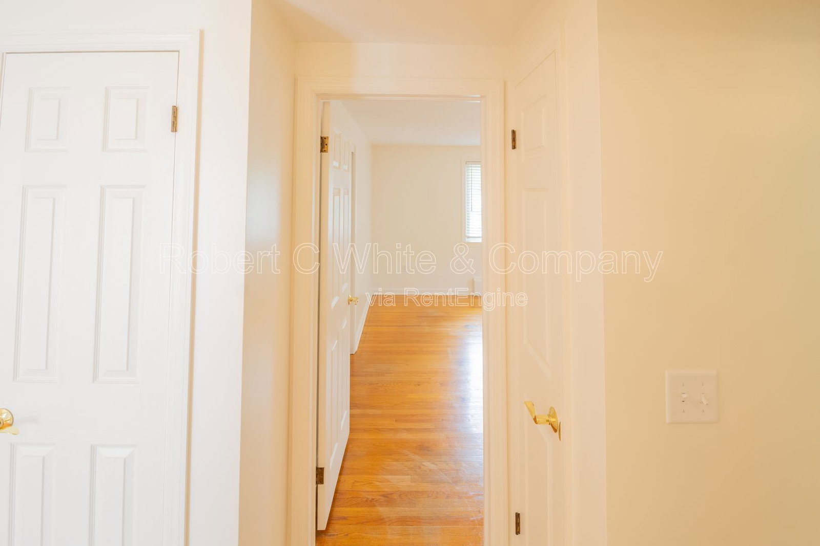Gallery Image 19