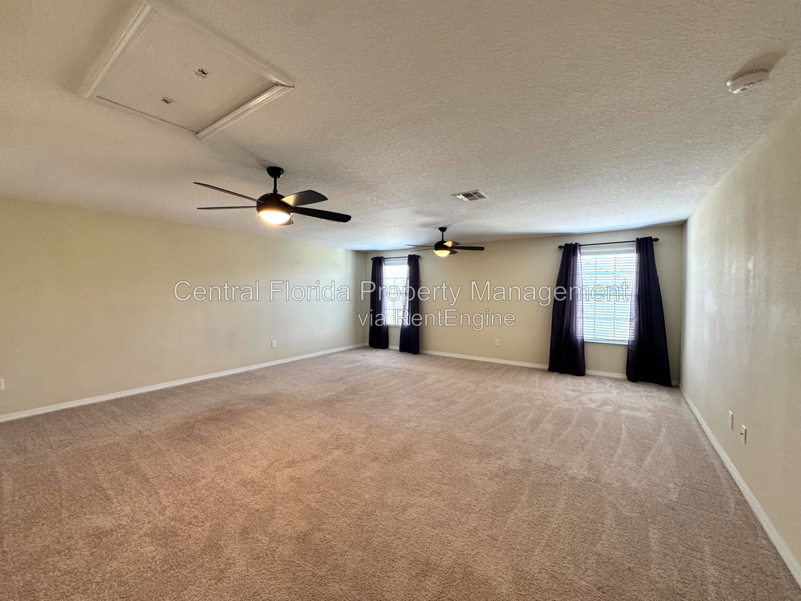Gallery Image 19