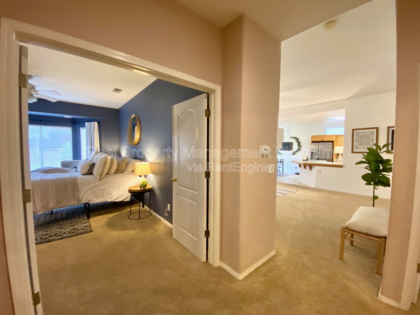 Gallery Image 21