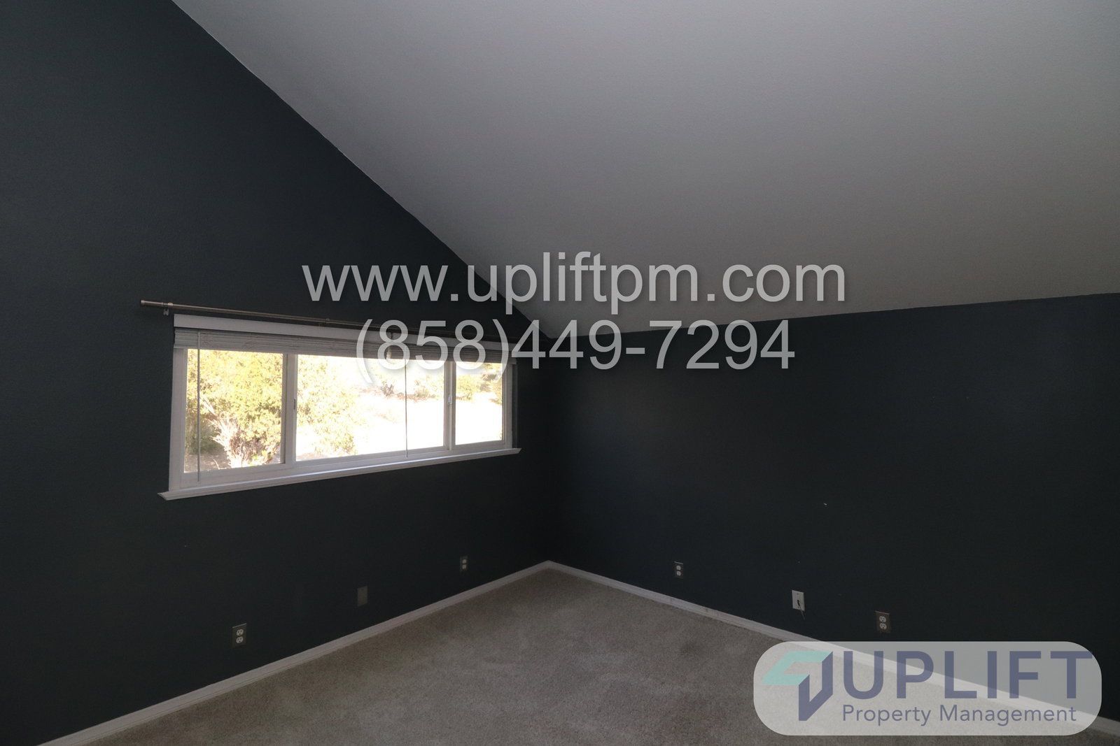 Gallery Image 16