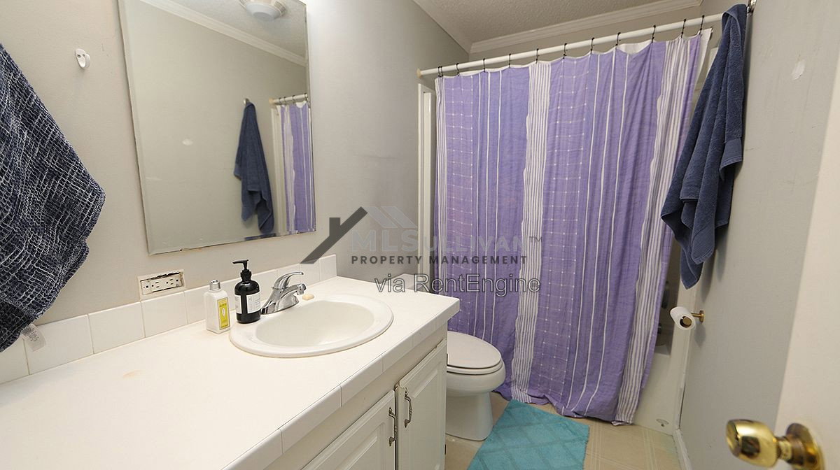 Gallery Image 16