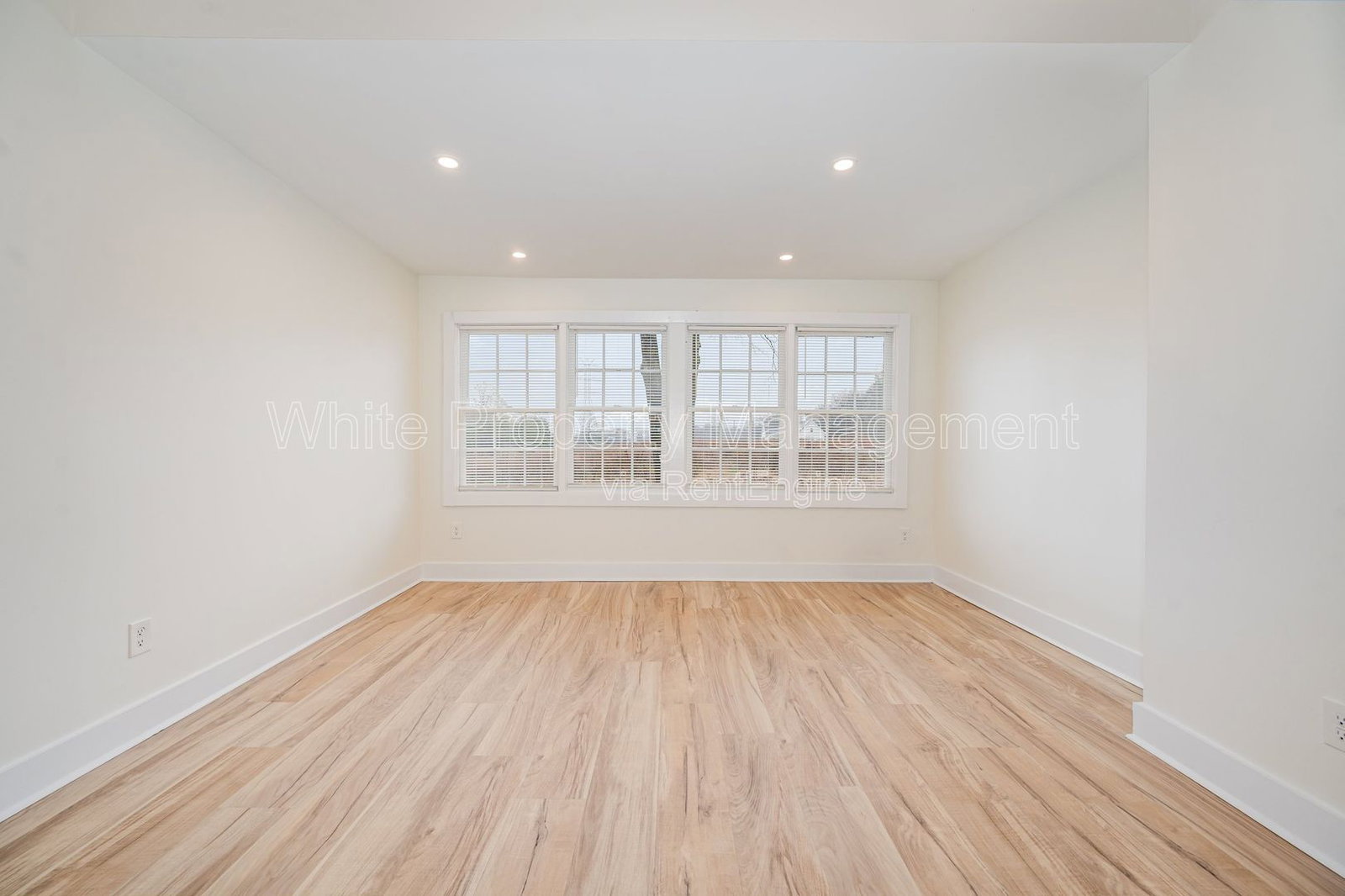 Gallery Image 19