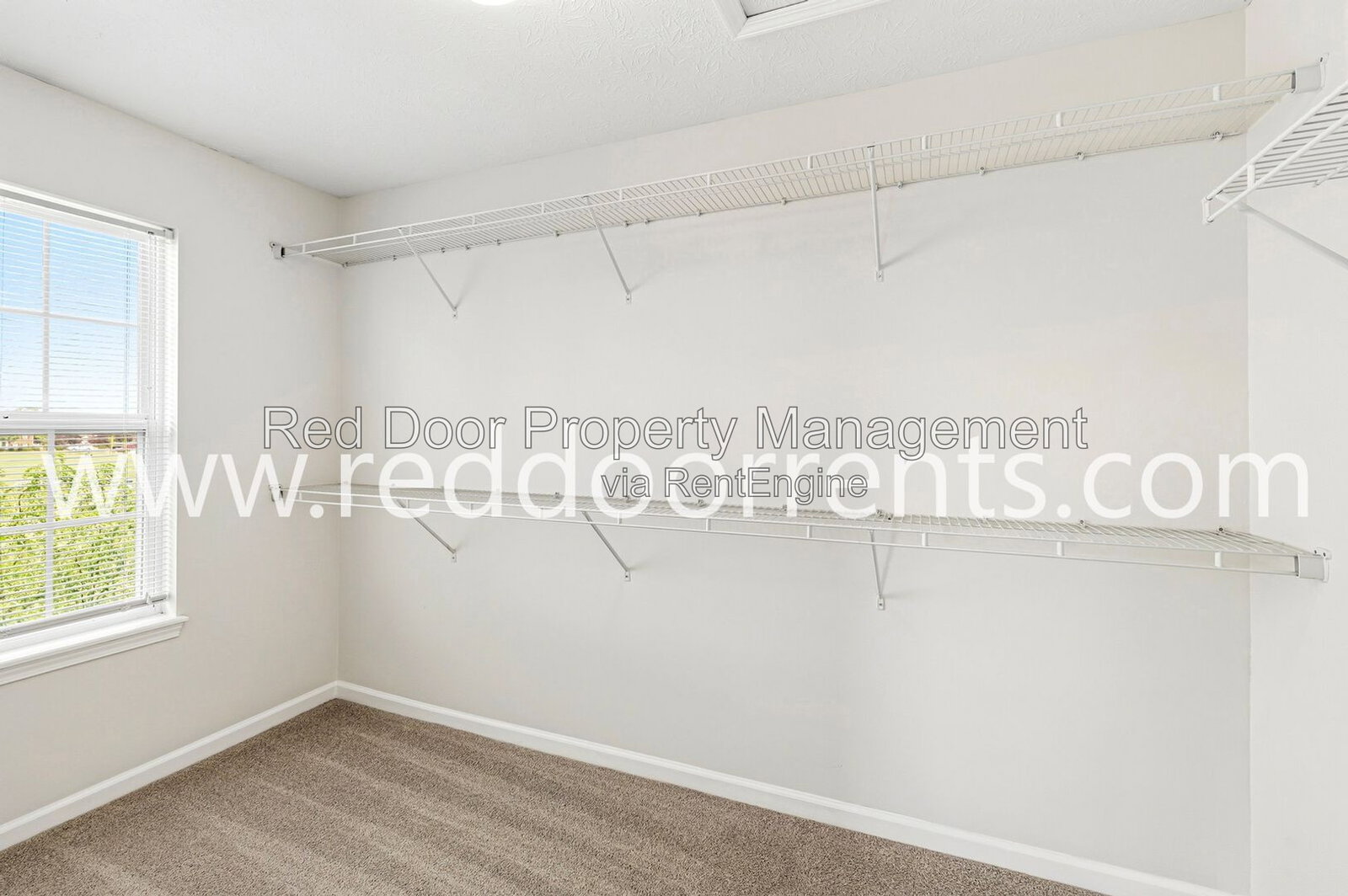 Gallery Image 33
