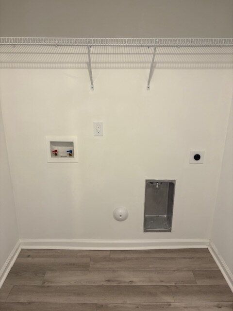 Gallery Image 7