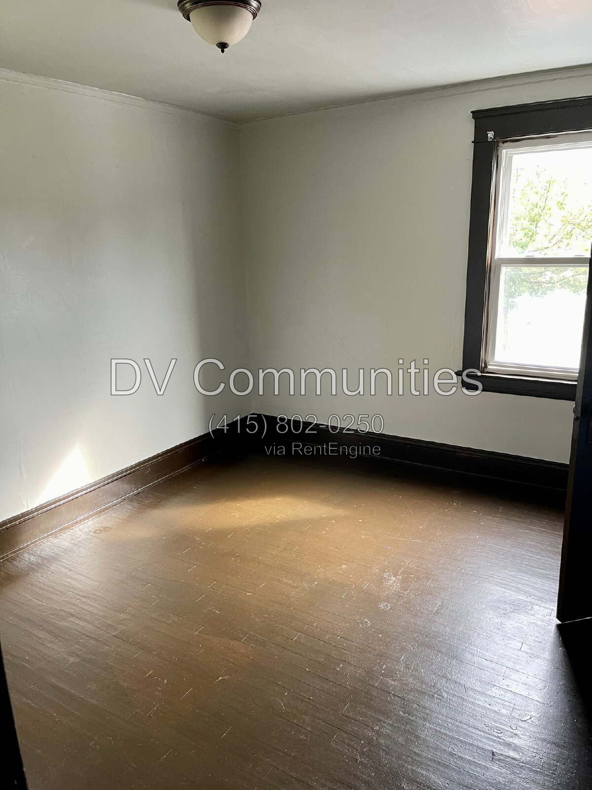 Gallery Image 53