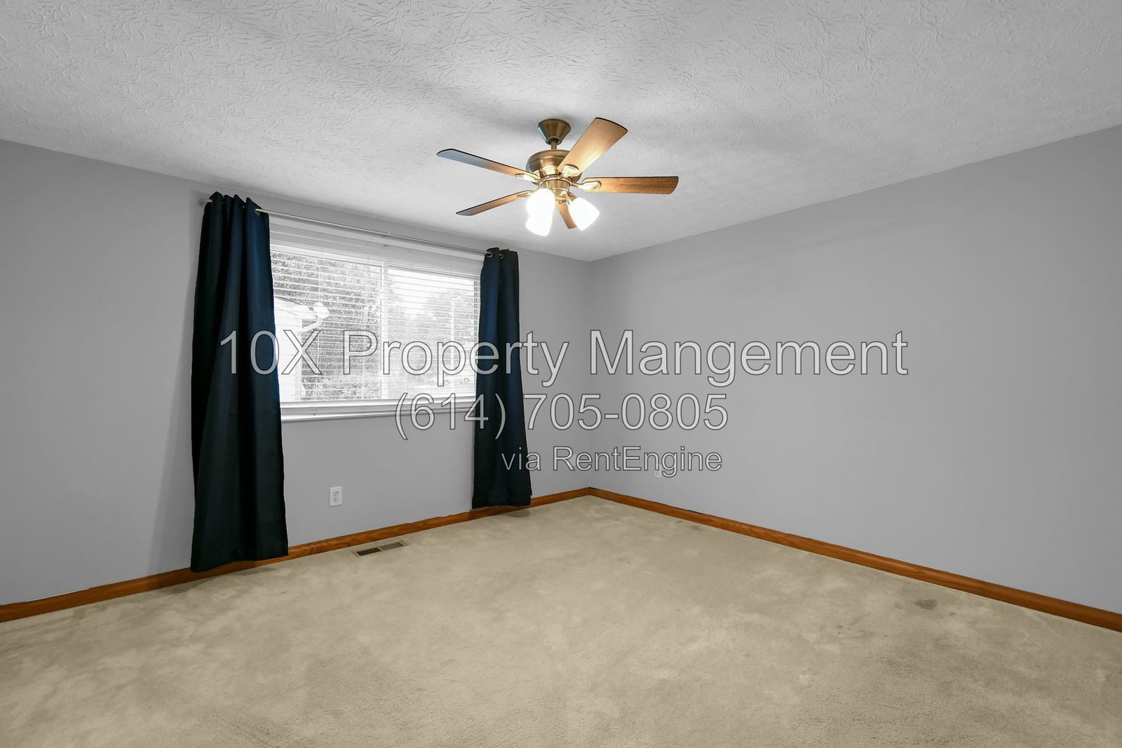 Gallery Image 15