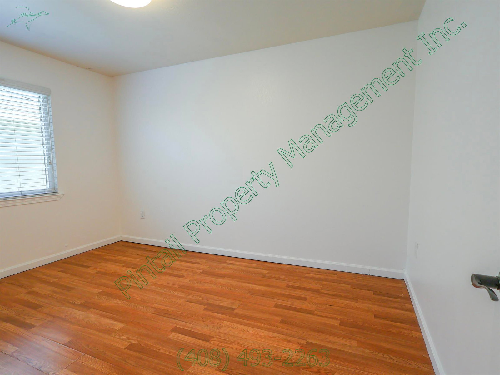 Gallery Image 16
