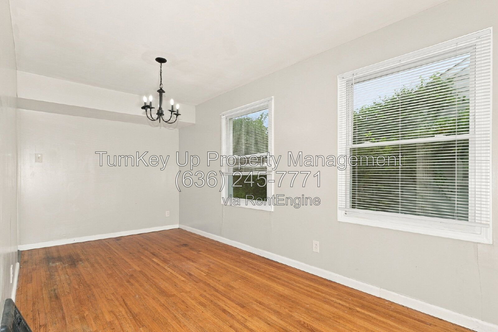 Gallery Image 6