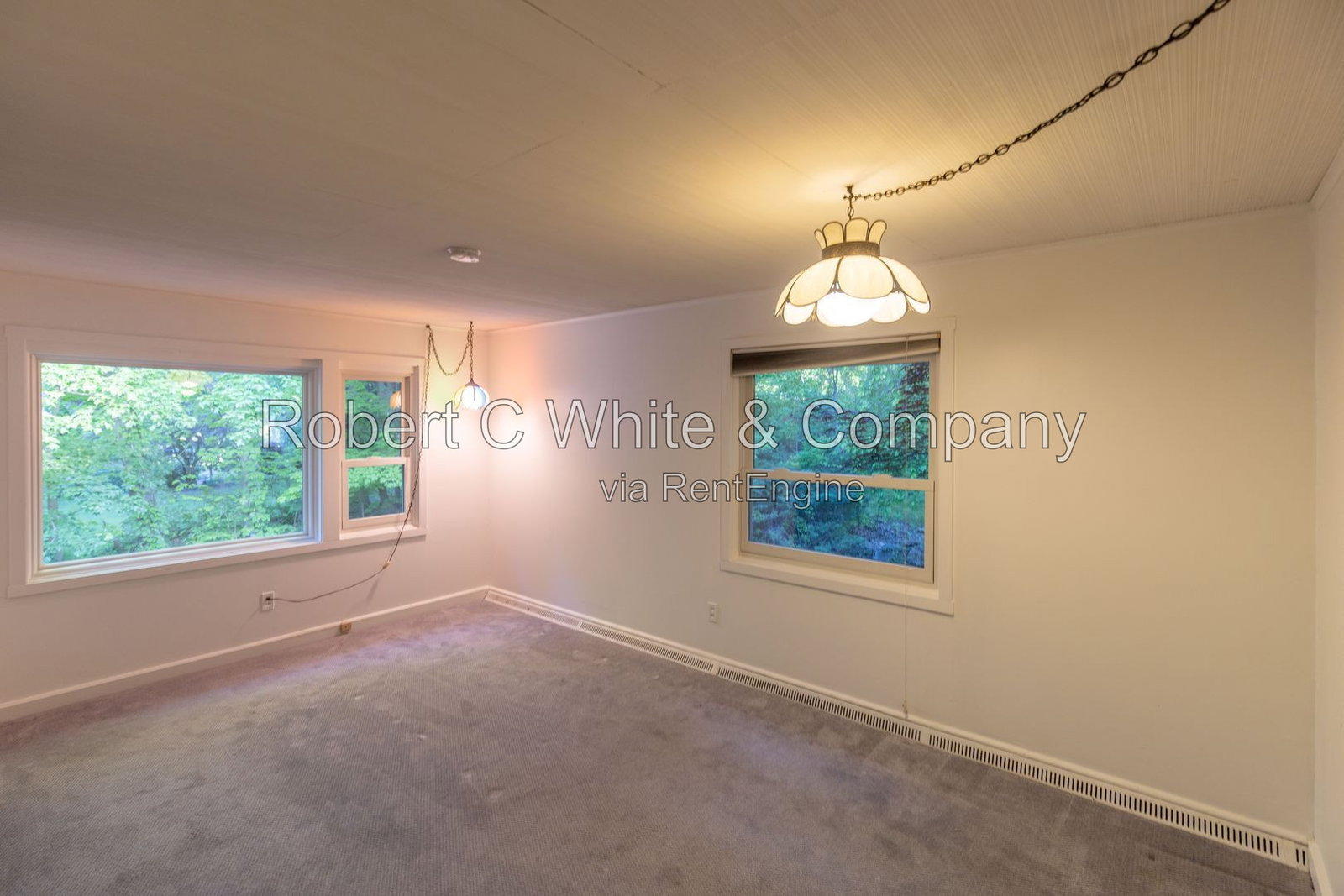 Gallery Image 19