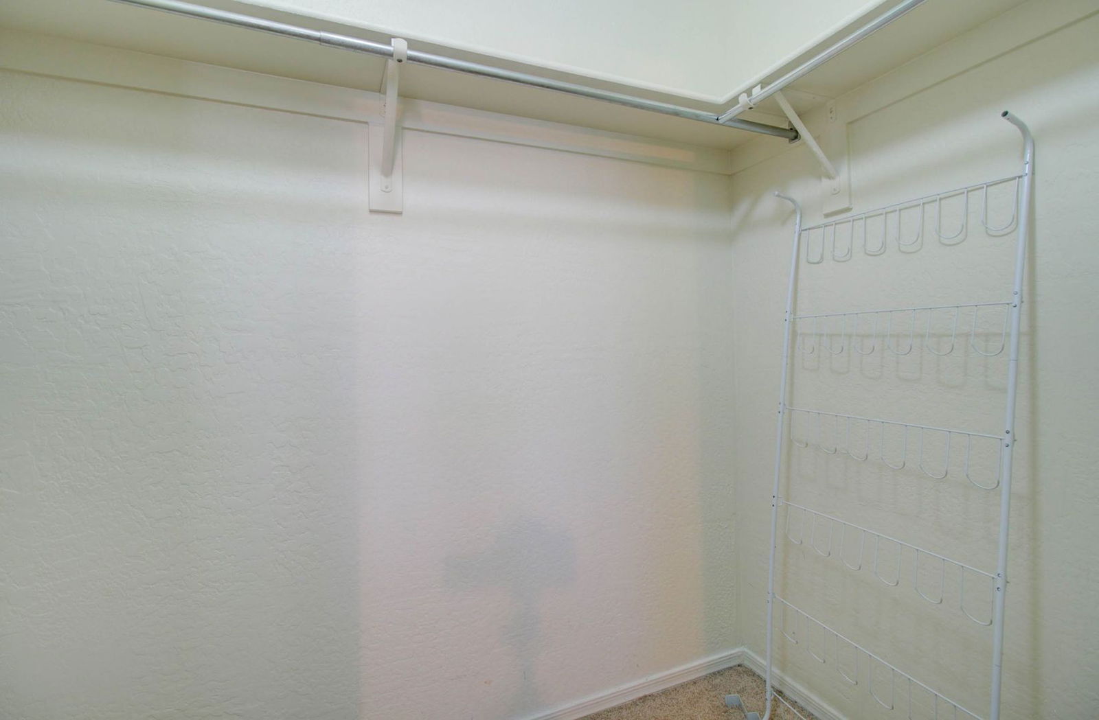 Gallery Image 31