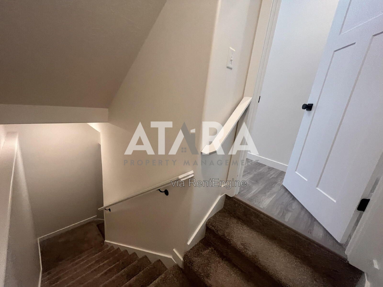 Gallery Image 20