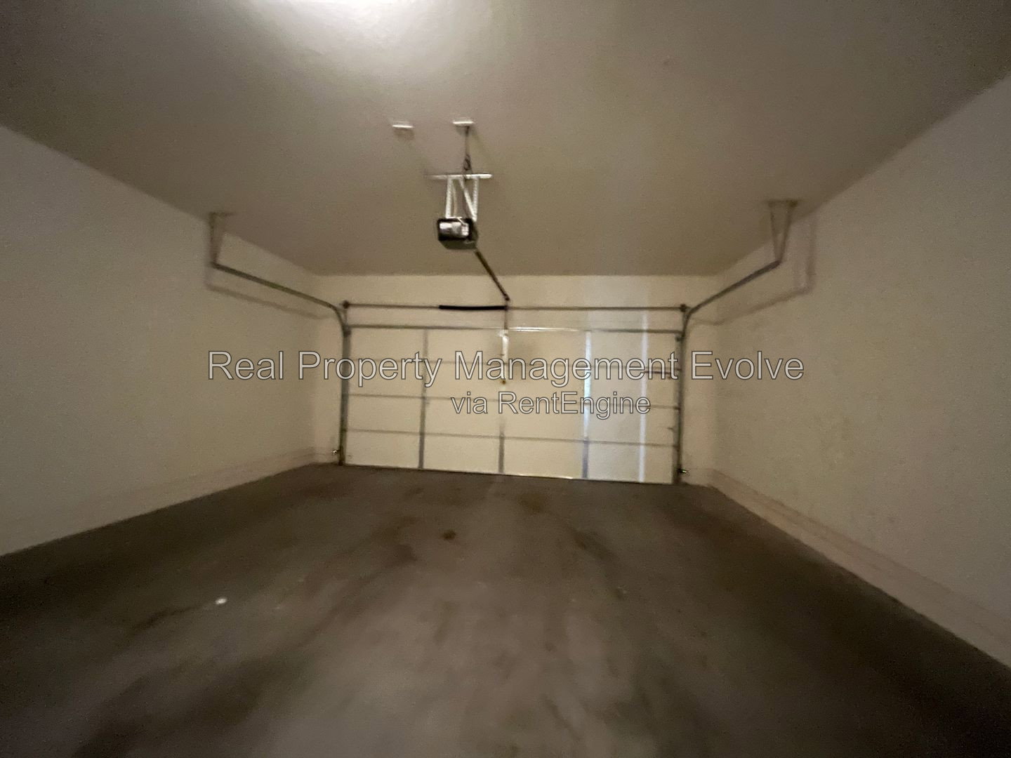 Gallery Image 19