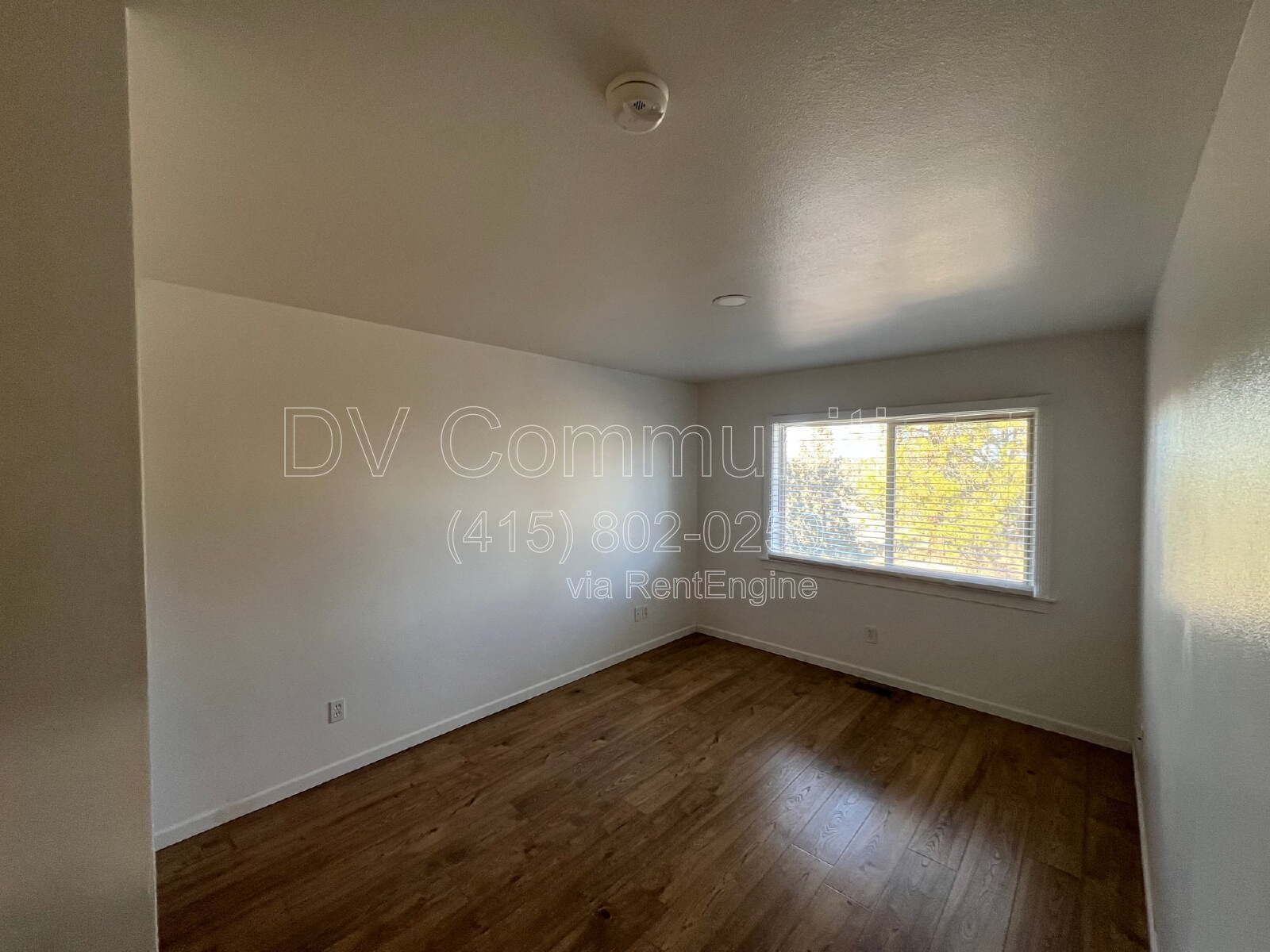 Gallery Image 25