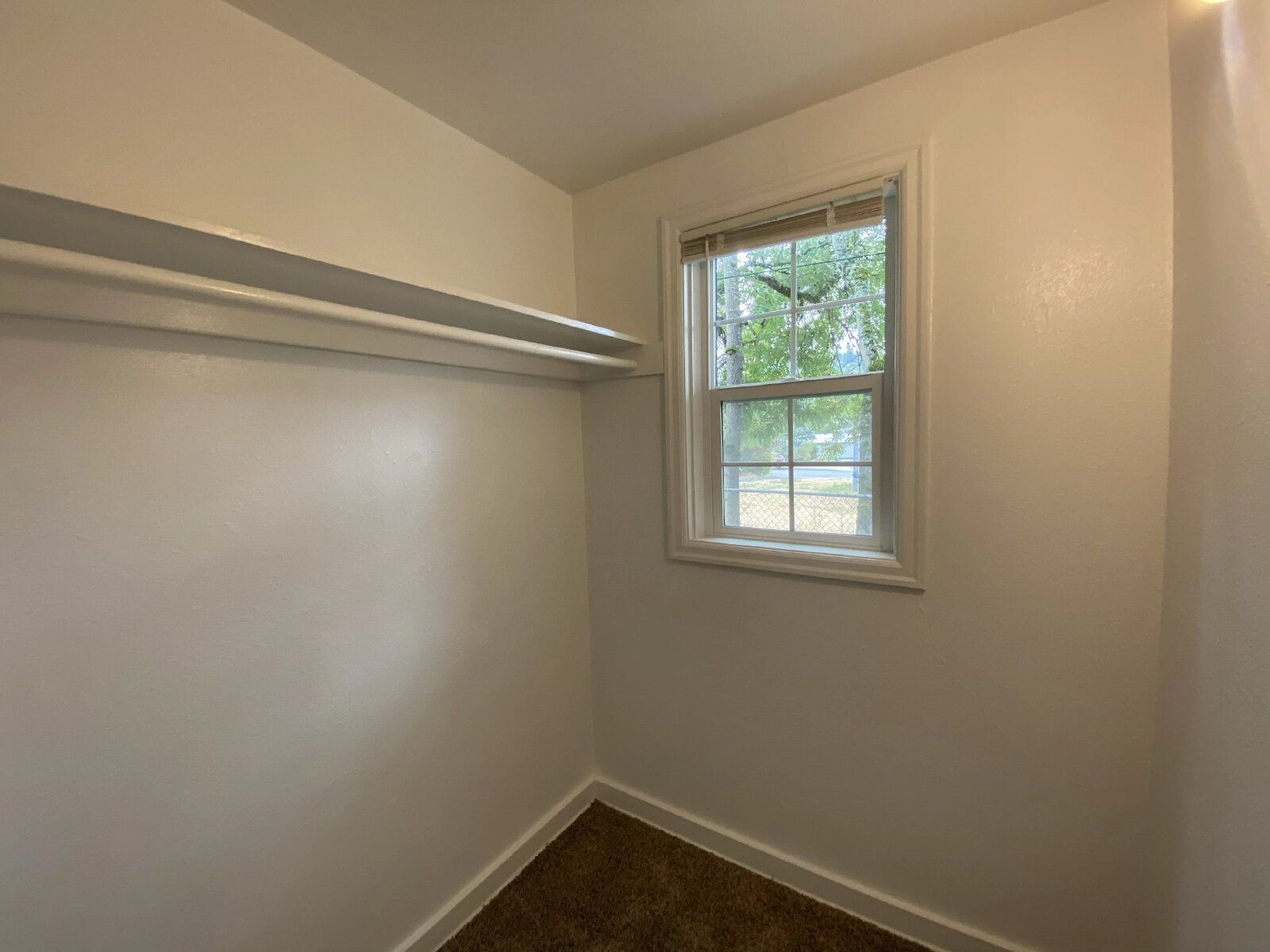 Gallery Image 16
