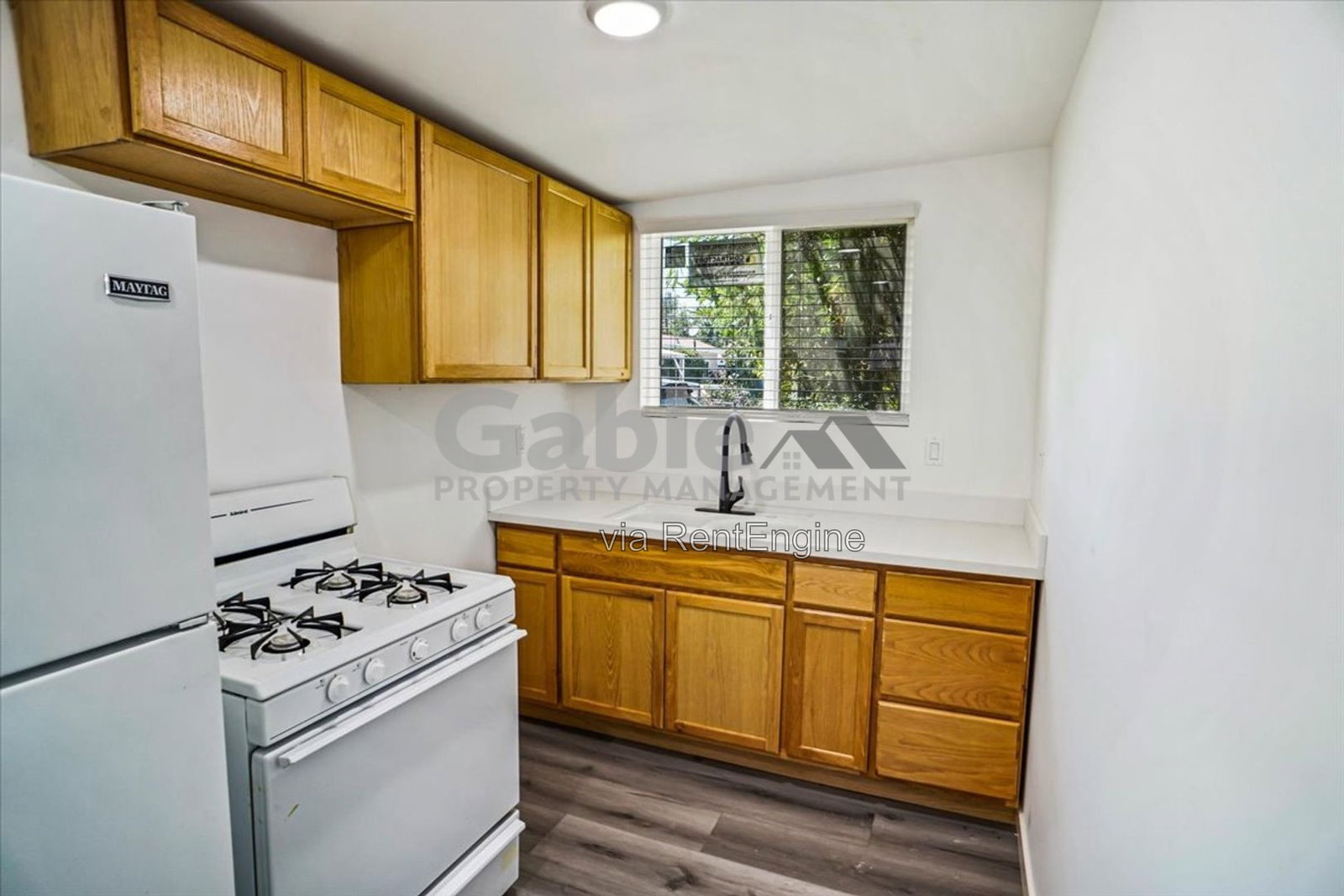 Gallery Image 0