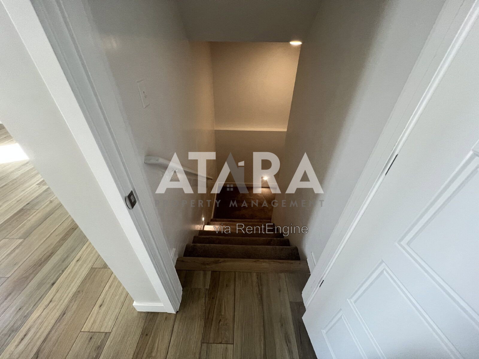 Gallery Image 20