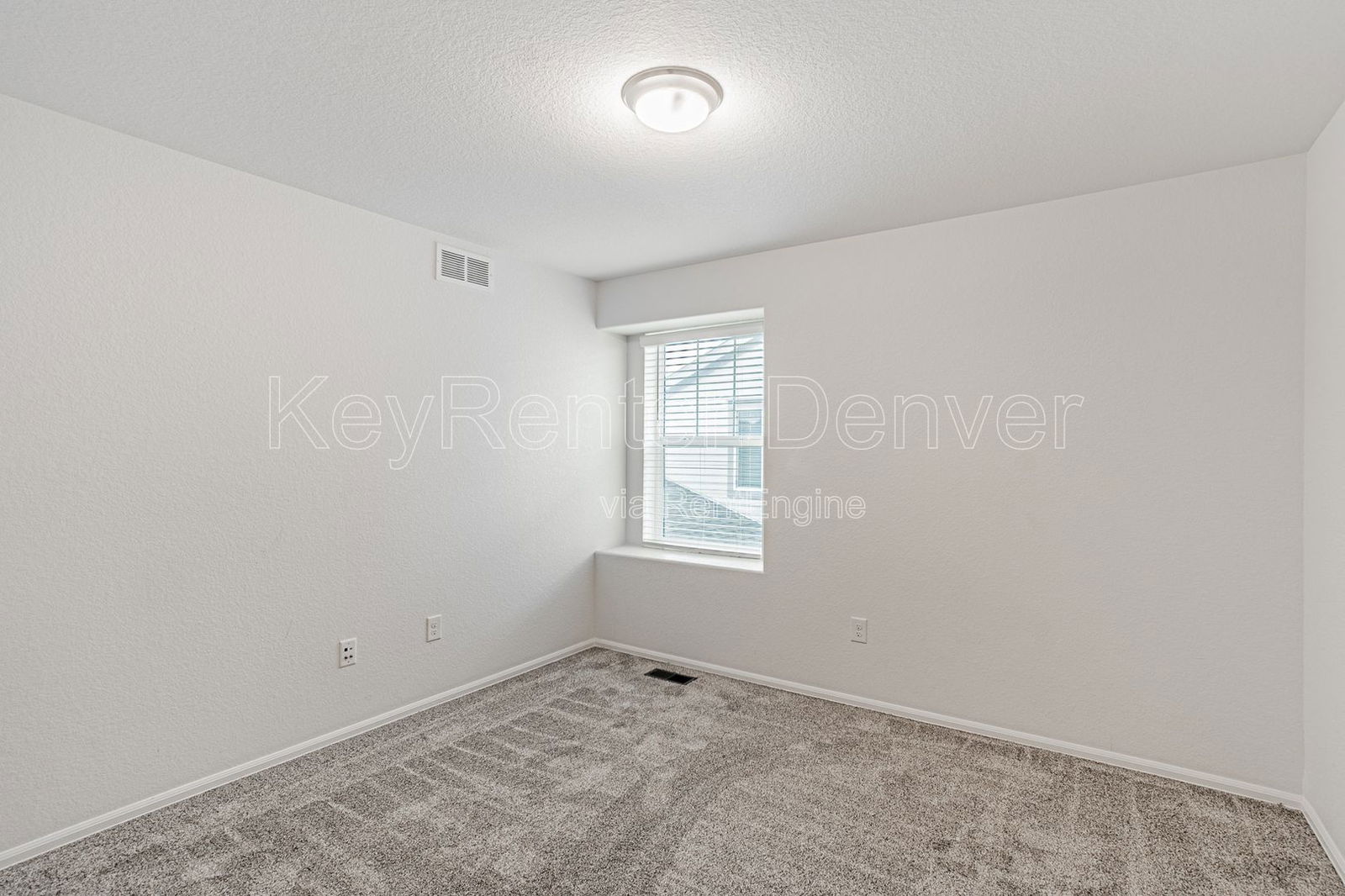 Gallery Image 38